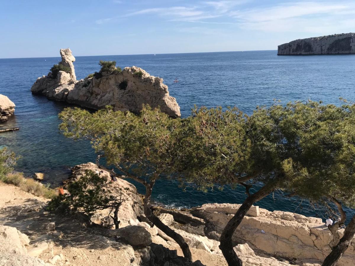 Bas De Villa Jardin Plein Sud Proche Mer Clim-Wifi Saint-Mandrier-sur-Mer Exterior foto