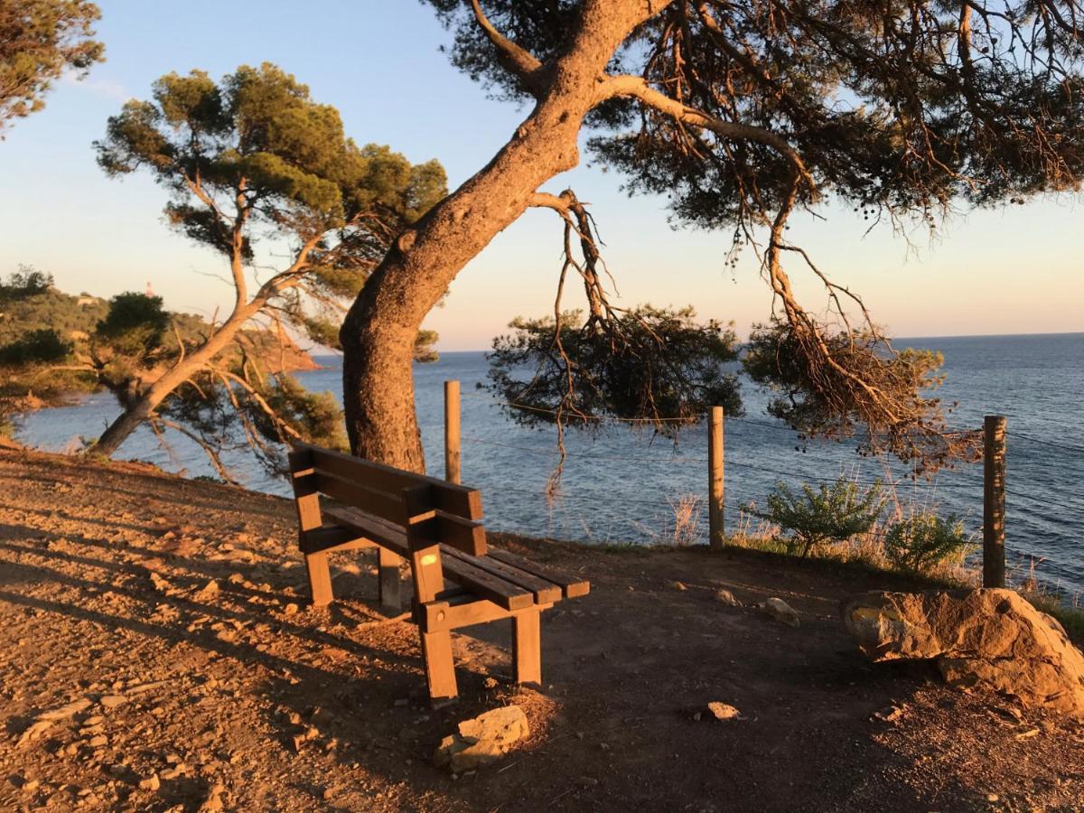 Bas De Villa Jardin Plein Sud Proche Mer Clim-Wifi Saint-Mandrier-sur-Mer Exterior foto