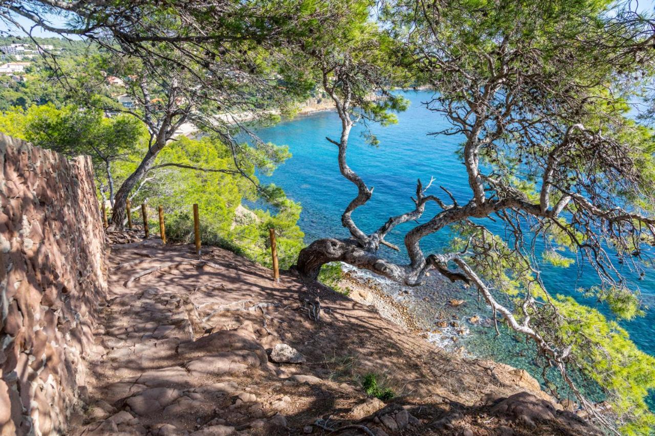 Bas De Villa Jardin Plein Sud Proche Mer Clim-Wifi Saint-Mandrier-sur-Mer Exterior foto