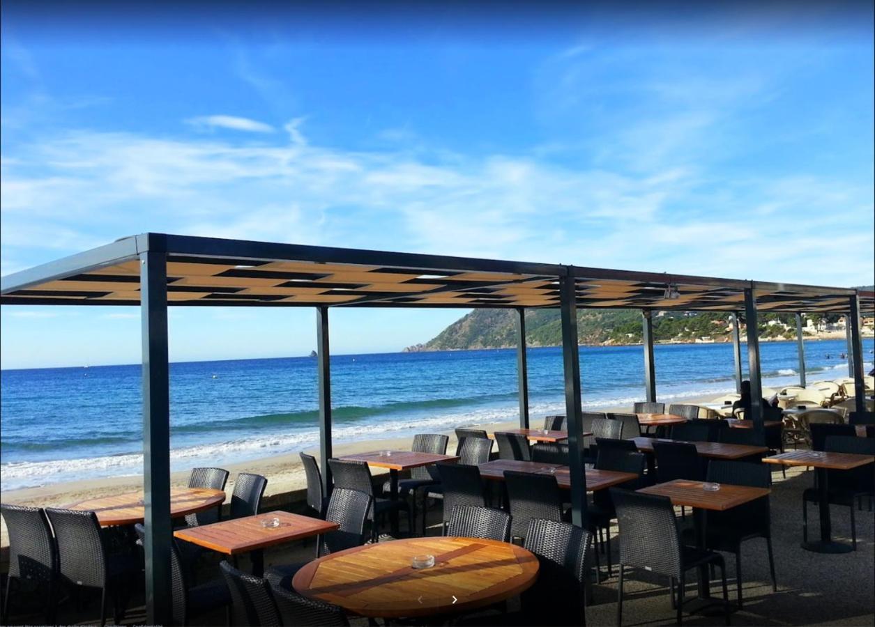 Bas De Villa Jardin Plein Sud Proche Mer Clim-Wifi Saint-Mandrier-sur-Mer Exterior foto