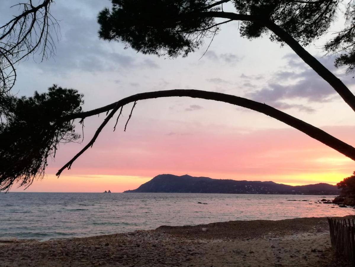 Bas De Villa Jardin Plein Sud Proche Mer Clim-Wifi Saint-Mandrier-sur-Mer Exterior foto